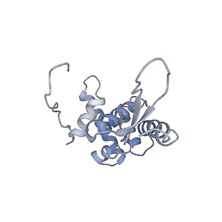 7970_6dnc_TA_v1-4
E.coli RF1 bound to E.coli 70S ribosome in response to UAU sense A-site codon