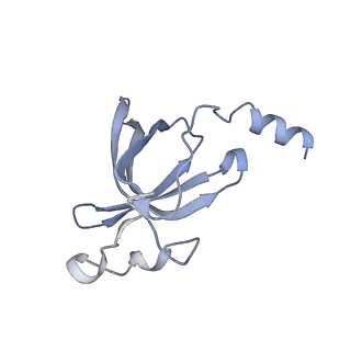 7970_6dnc_T_v1-4
E.coli RF1 bound to E.coli 70S ribosome in response to UAU sense A-site codon