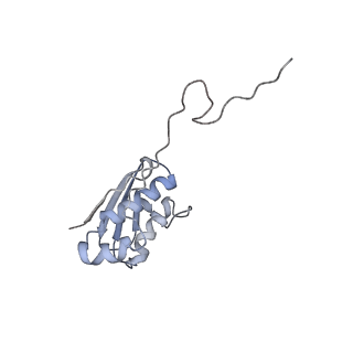 7970_6dnc_VA_v1-4
E.coli RF1 bound to E.coli 70S ribosome in response to UAU sense A-site codon