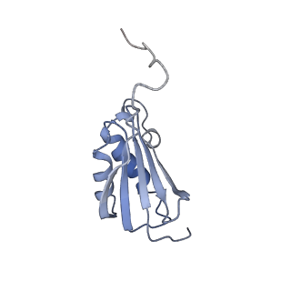 7970_6dnc_XA_v1-3
E.coli RF1 bound to E.coli 70S ribosome in response to UAU sense A-site codon