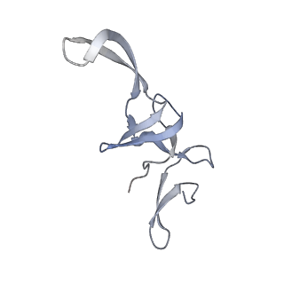 7970_6dnc_Y_v1-3
E.coli RF1 bound to E.coli 70S ribosome in response to UAU sense A-site codon