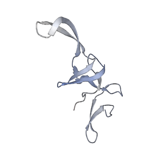 7970_6dnc_Y_v1-4
E.coli RF1 bound to E.coli 70S ribosome in response to UAU sense A-site codon