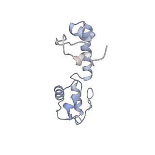 7970_6dnc_ZA_v1-4
E.coli RF1 bound to E.coli 70S ribosome in response to UAU sense A-site codon