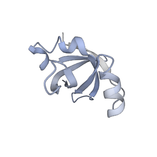 7970_6dnc_Z_v1-3
E.coli RF1 bound to E.coli 70S ribosome in response to UAU sense A-site codon