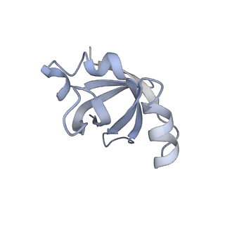 7970_6dnc_Z_v1-4
E.coli RF1 bound to E.coli 70S ribosome in response to UAU sense A-site codon