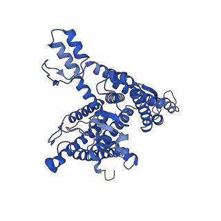 27586_8do0_A_v1-1
Cryo-EM structure of the human Sec61 complex inhibited by mycolactone