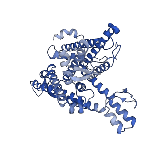 27587_8do1_A_v1-1
Cryo-EM structure of the human Sec61 complex inhibited by ipomoeassin F