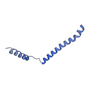27587_8do1_B_v1-1
Cryo-EM structure of the human Sec61 complex inhibited by ipomoeassin F