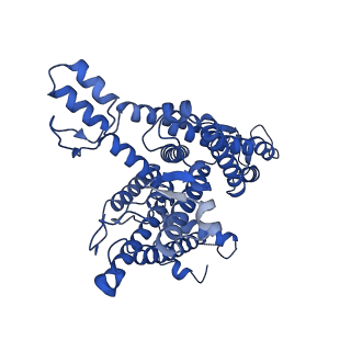 27588_8do2_A_v1-1
Cryo-EM structure of the human Sec61 complex inhibited by cyclotriazadisulfonamide (CADA)
