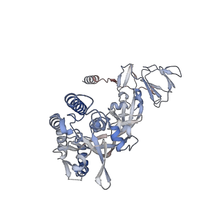 27590_8do4_A_v1-2
Prefusion-stabilized Nipah virus fusion protein, dimer of trimers