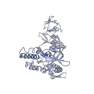 27590_8do4_C_v1-1
Prefusion-stabilized Nipah virus fusion protein, dimer of trimers