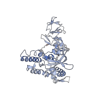 27590_8do4_C_v1-2
Prefusion-stabilized Nipah virus fusion protein, dimer of trimers