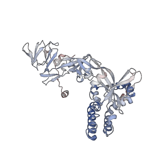 27590_8do4_D_v1-2
Prefusion-stabilized Nipah virus fusion protein, dimer of trimers