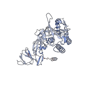 27590_8do4_E_v1-1
Prefusion-stabilized Nipah virus fusion protein, dimer of trimers