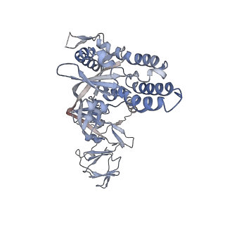 27590_8do4_G_v1-1
Prefusion-stabilized Nipah virus fusion protein, dimer of trimers