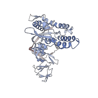 27590_8do4_G_v1-2
Prefusion-stabilized Nipah virus fusion protein, dimer of trimers