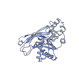 27593_8do6_B_v1-1
The structure of S. epidermidis Cas10-Csm bound to target RNA