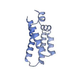 27593_8do6_C_v1-1
The structure of S. epidermidis Cas10-Csm bound to target RNA