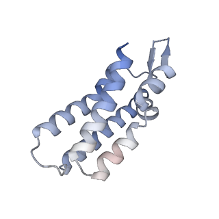 27593_8do6_D_v1-1
The structure of S. epidermidis Cas10-Csm bound to target RNA
