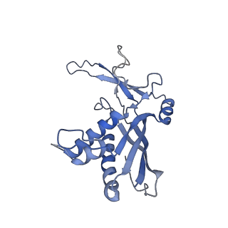 27593_8do6_E_v1-1
The structure of S. epidermidis Cas10-Csm bound to target RNA