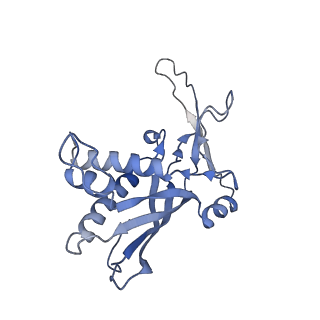 27593_8do6_F_v1-1
The structure of S. epidermidis Cas10-Csm bound to target RNA