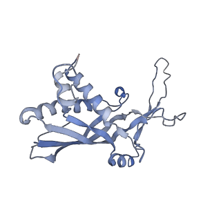 27593_8do6_G_v1-1
The structure of S. epidermidis Cas10-Csm bound to target RNA