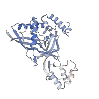 27593_8do6_H_v1-1
The structure of S. epidermidis Cas10-Csm bound to target RNA