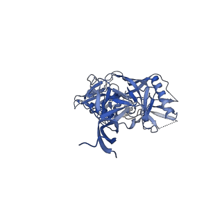 27596_8dok_A_v1-1
Cryo-EM structure of T/F100 SOSIP.664 HIV-1 Env trimer in complex with 8ANC195 and 10-1074