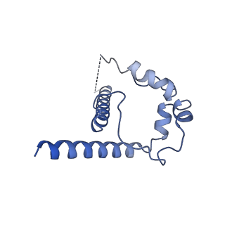 27596_8dok_B_v1-1
Cryo-EM structure of T/F100 SOSIP.664 HIV-1 Env trimer in complex with 8ANC195 and 10-1074