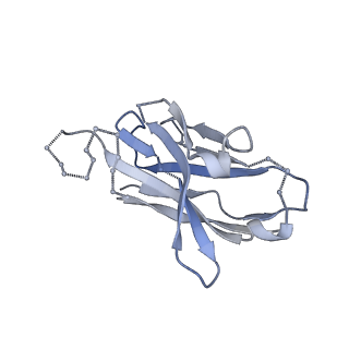 27596_8dok_C_v1-1
Cryo-EM structure of T/F100 SOSIP.664 HIV-1 Env trimer in complex with 8ANC195 and 10-1074