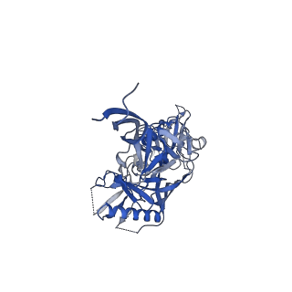 27596_8dok_E_v1-1
Cryo-EM structure of T/F100 SOSIP.664 HIV-1 Env trimer in complex with 8ANC195 and 10-1074