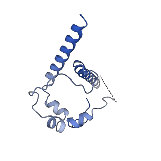 27596_8dok_F_v1-1
Cryo-EM structure of T/F100 SOSIP.664 HIV-1 Env trimer in complex with 8ANC195 and 10-1074