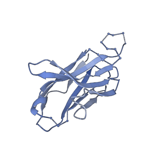 27596_8dok_G_v1-1
Cryo-EM structure of T/F100 SOSIP.664 HIV-1 Env trimer in complex with 8ANC195 and 10-1074
