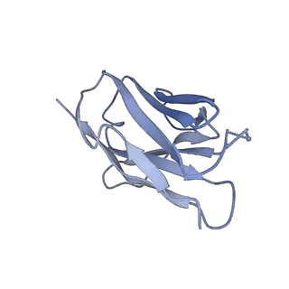 27596_8dok_H_v1-1
Cryo-EM structure of T/F100 SOSIP.664 HIV-1 Env trimer in complex with 8ANC195 and 10-1074