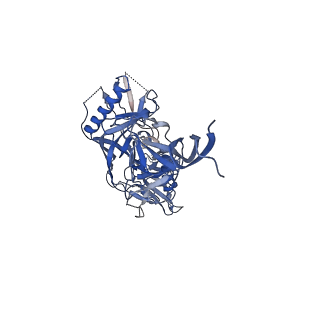 27596_8dok_I_v1-1
Cryo-EM structure of T/F100 SOSIP.664 HIV-1 Env trimer in complex with 8ANC195 and 10-1074