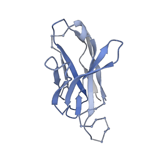 27596_8dok_K_v1-1
Cryo-EM structure of T/F100 SOSIP.664 HIV-1 Env trimer in complex with 8ANC195 and 10-1074