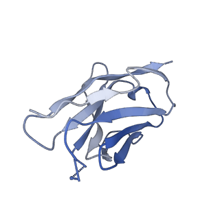 27596_8dok_L_v1-1
Cryo-EM structure of T/F100 SOSIP.664 HIV-1 Env trimer in complex with 8ANC195 and 10-1074