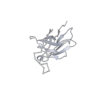 27596_8dok_M_v1-1
Cryo-EM structure of T/F100 SOSIP.664 HIV-1 Env trimer in complex with 8ANC195 and 10-1074