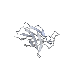 27596_8dok_Q_v1-1
Cryo-EM structure of T/F100 SOSIP.664 HIV-1 Env trimer in complex with 8ANC195 and 10-1074