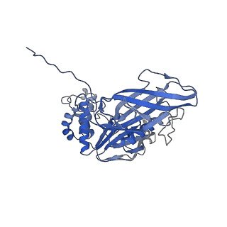 27623_8dou_A_v1-0
CryoEM structure of the A. aeolicus WzmWzt transporter bound to ADP