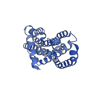 27623_8dou_B_v1-0
CryoEM structure of the A. aeolicus WzmWzt transporter bound to ADP