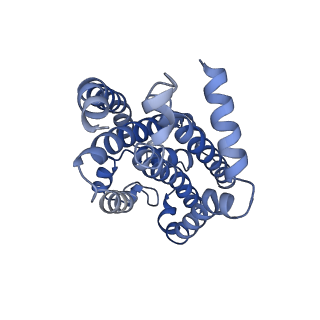 27623_8dou_D_v1-0
CryoEM structure of the A. aeolicus WzmWzt transporter bound to ADP