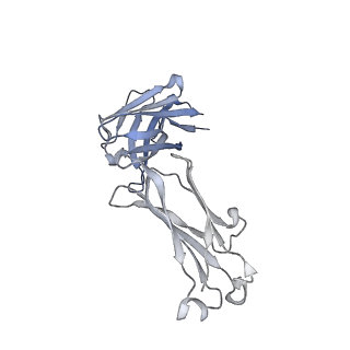 27624_8dow_C_v1-0
Cryo-EM structure of HIV-1 Env(CH848 10.17 DS.SOSIP_DT) in complex with DH1030.1 Fab