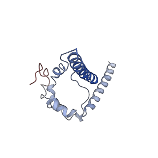 27624_8dow_F_v1-0
Cryo-EM structure of HIV-1 Env(CH848 10.17 DS.SOSIP_DT) in complex with DH1030.1 Fab