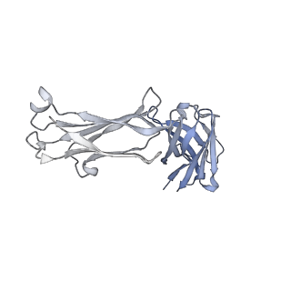 27624_8dow_G_v1-0
Cryo-EM structure of HIV-1 Env(CH848 10.17 DS.SOSIP_DT) in complex with DH1030.1 Fab