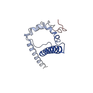 27624_8dow_J_v1-0
Cryo-EM structure of HIV-1 Env(CH848 10.17 DS.SOSIP_DT) in complex with DH1030.1 Fab