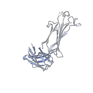 27624_8dow_K_v1-0
Cryo-EM structure of HIV-1 Env(CH848 10.17 DS.SOSIP_DT) in complex with DH1030.1 Fab
