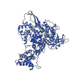 30794_7doi_A_v1-0
Structure of COVID-19 RNA-dependent RNA polymerase bound to penciclovir.