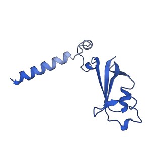 30794_7doi_B_v1-0
Structure of COVID-19 RNA-dependent RNA polymerase bound to penciclovir.