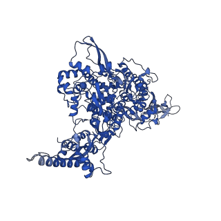 30795_7dok_A_v1-0
Structure of COVID-19 RNA-dependent RNA polymerase (extended conformation) bound to penciclovir